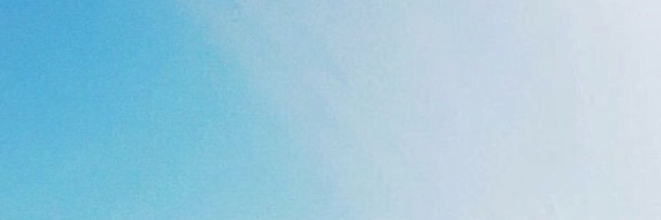 Megan DeVecchis banner