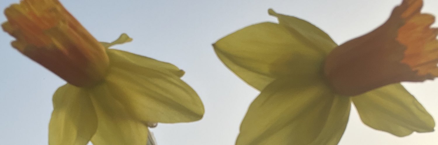 bee💜💜💜💜🫶🫶🫶❤️❤️❤️🍷🍷 banner