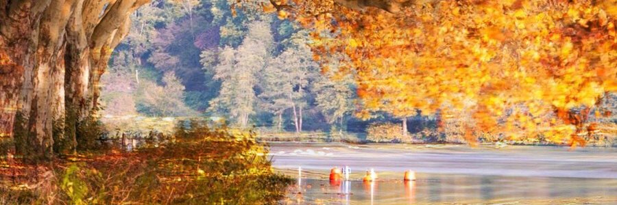 iannleecn's profile banner image