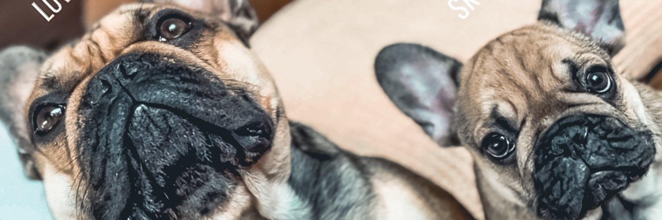 tetsitter's profile banner image