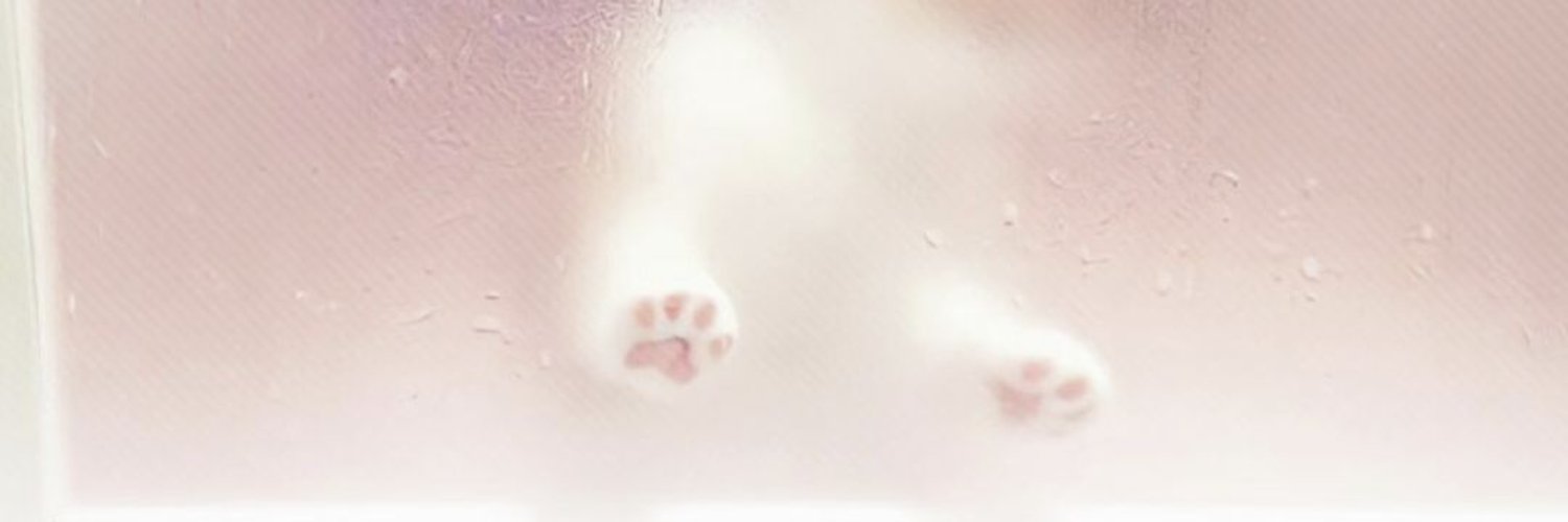 arazarz's profile banner image
