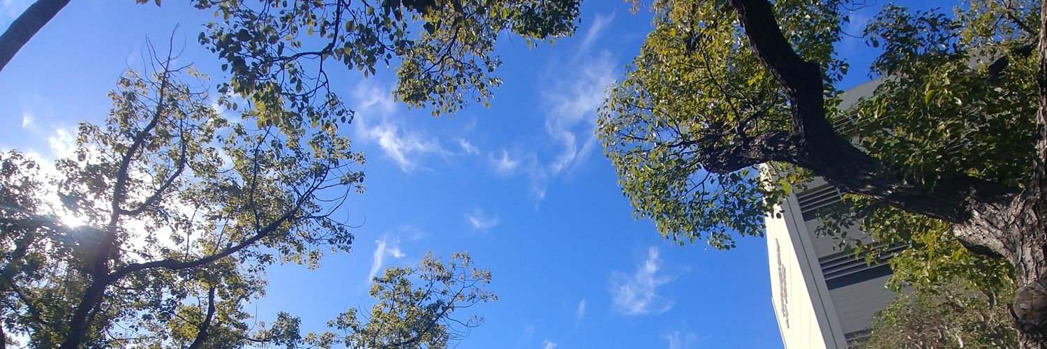 ddoongt's profile banner image
