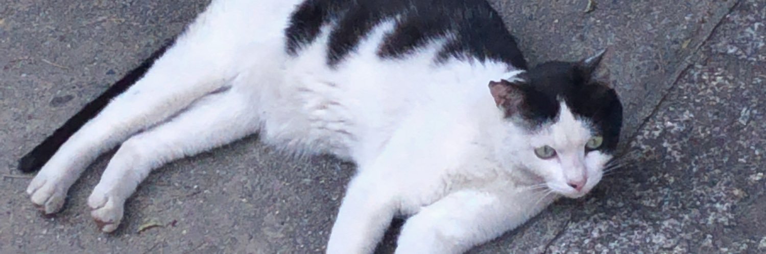 ホタテ. banner