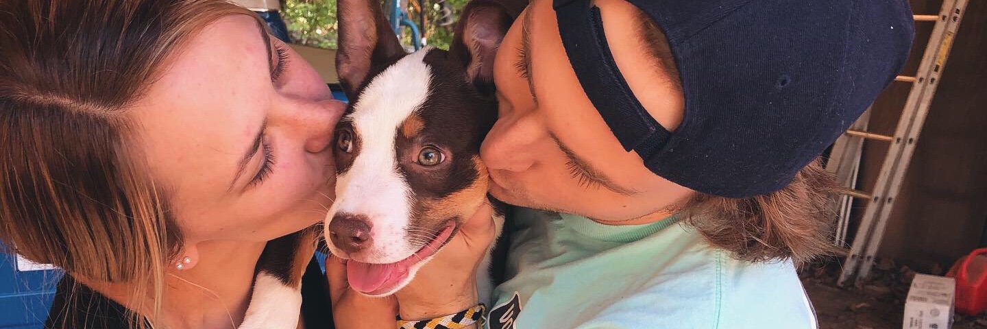 bobecolbexo's profile banner image