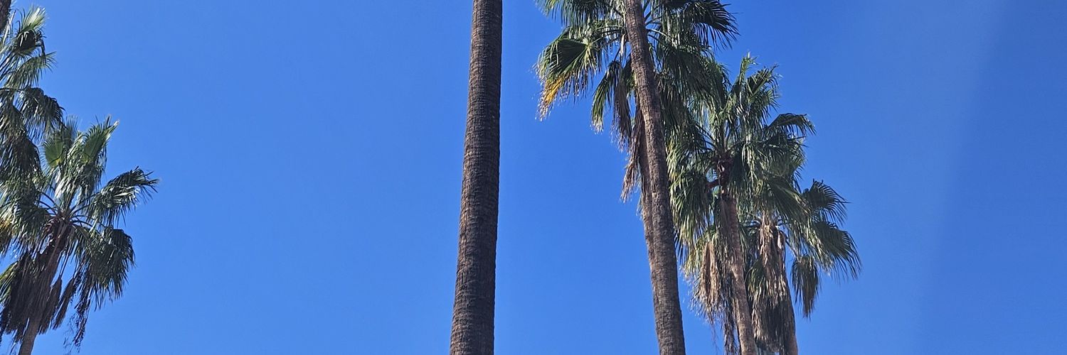 Jarjayes's profile banner image