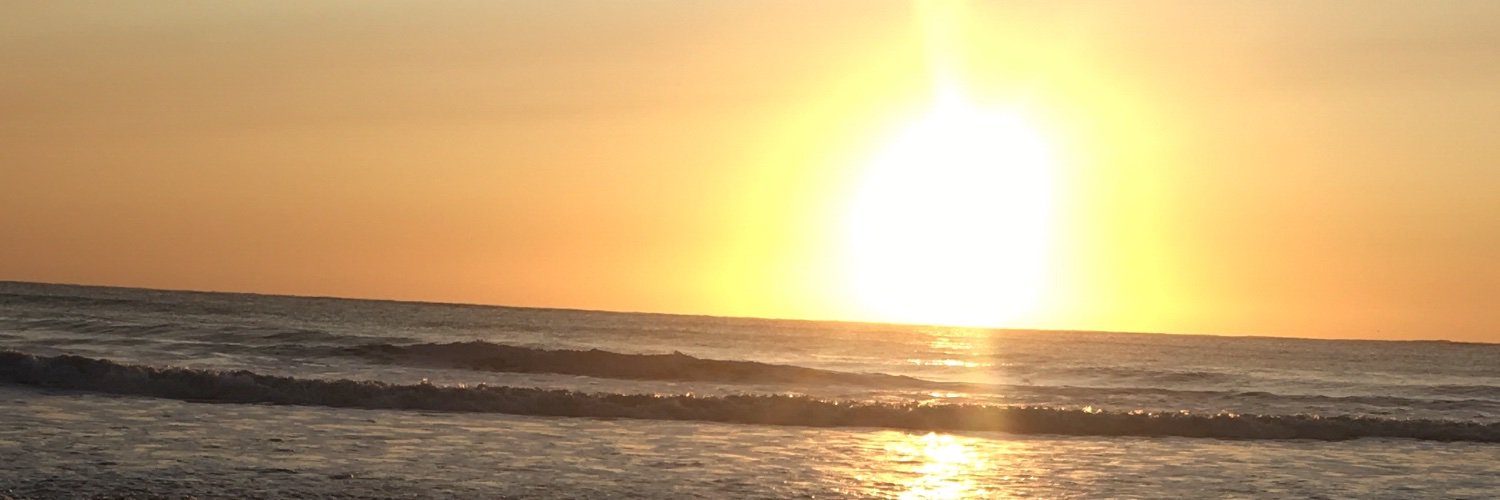 lucilaferraro's profile banner image