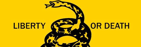 StockmanSenate's profile banner image