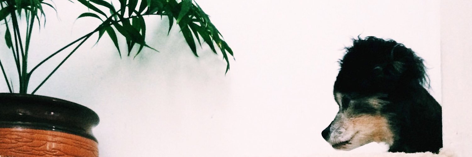 alexram375's profile banner image