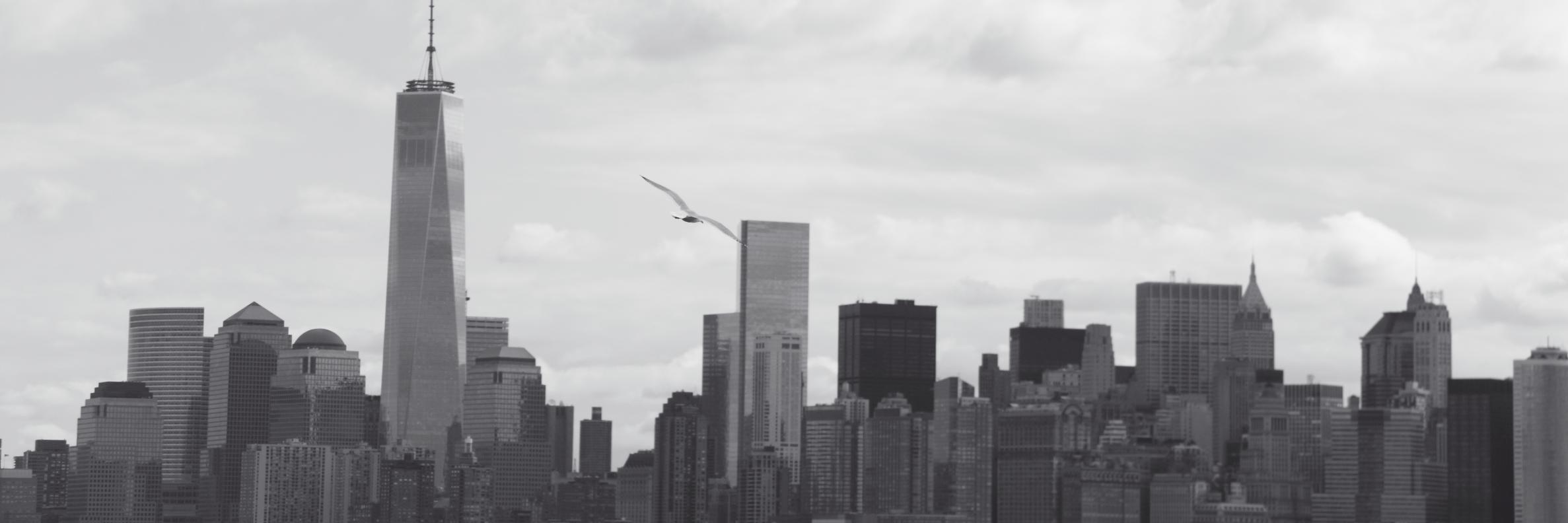 Tony__Hay's profile banner image