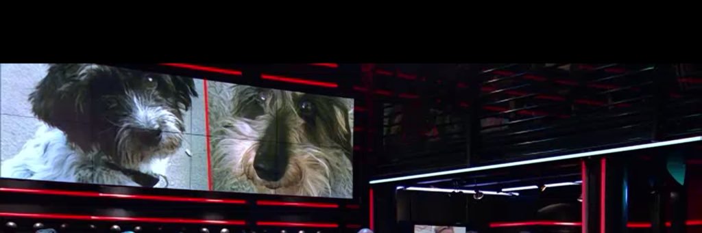 Antoinnette Scheulderman banner