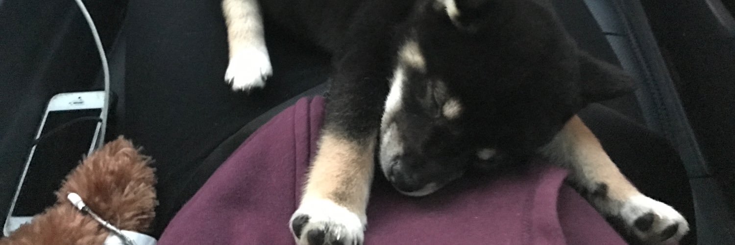 thuongh0ai's profile banner image