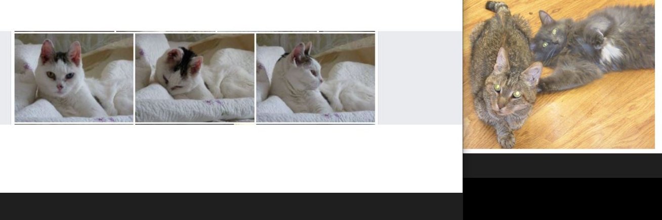 Daniel S. Duvall banner