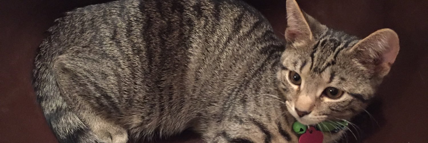 lilgribben's profile banner image