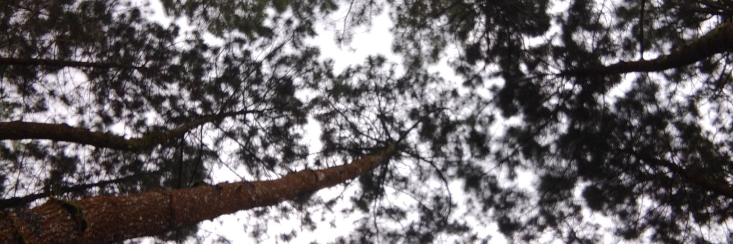 ayudittaa's profile banner image