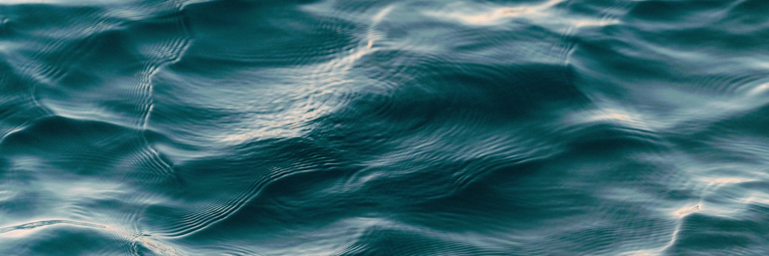 gonismsliati's profile banner image