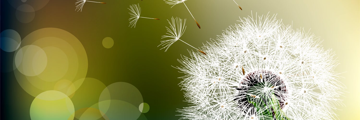 caffeine addicted🌻 banner