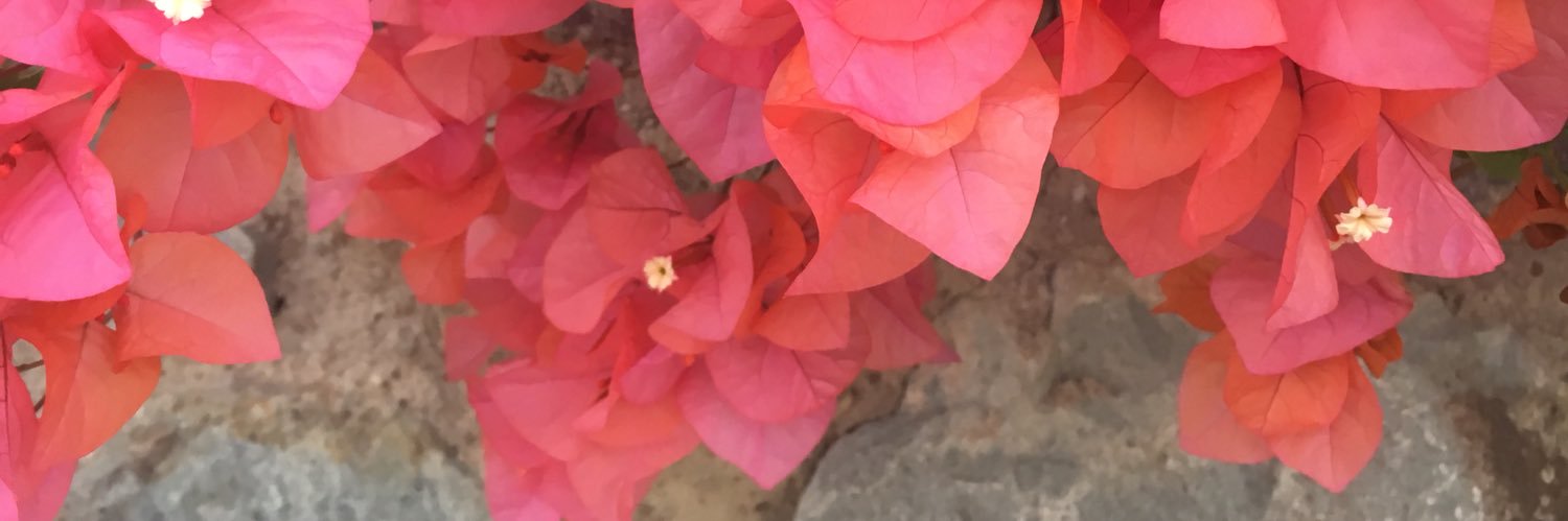 Pearl Shah banner