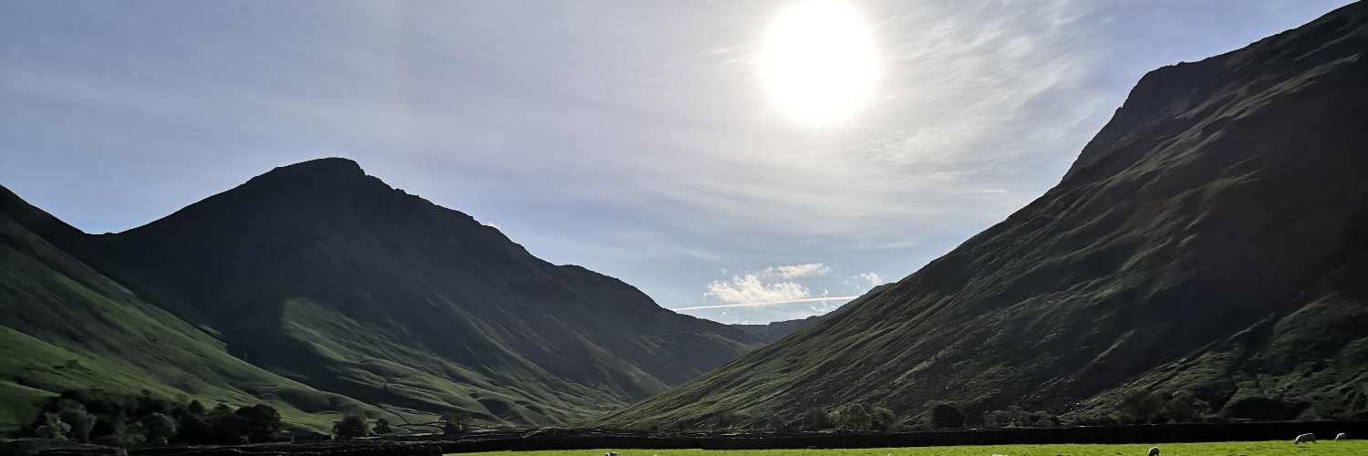 Marie Aronsson-Storrier banner