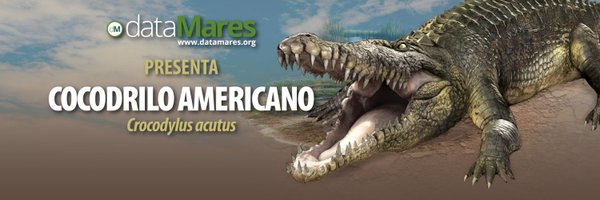 dataMares Profile Banner