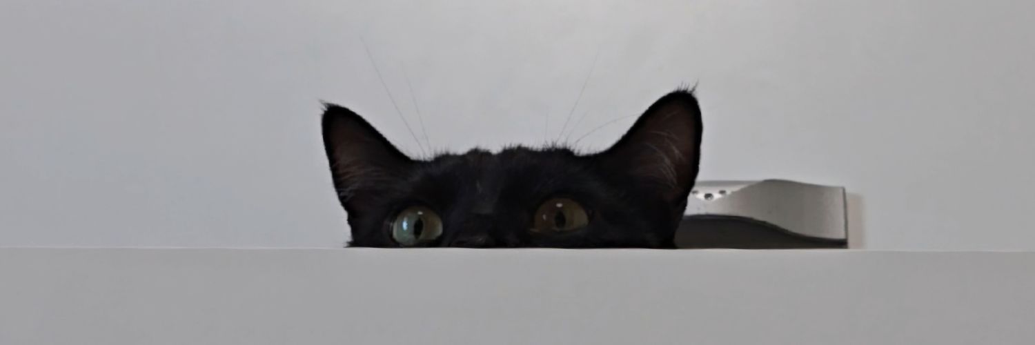 dalgom1115's profile banner image