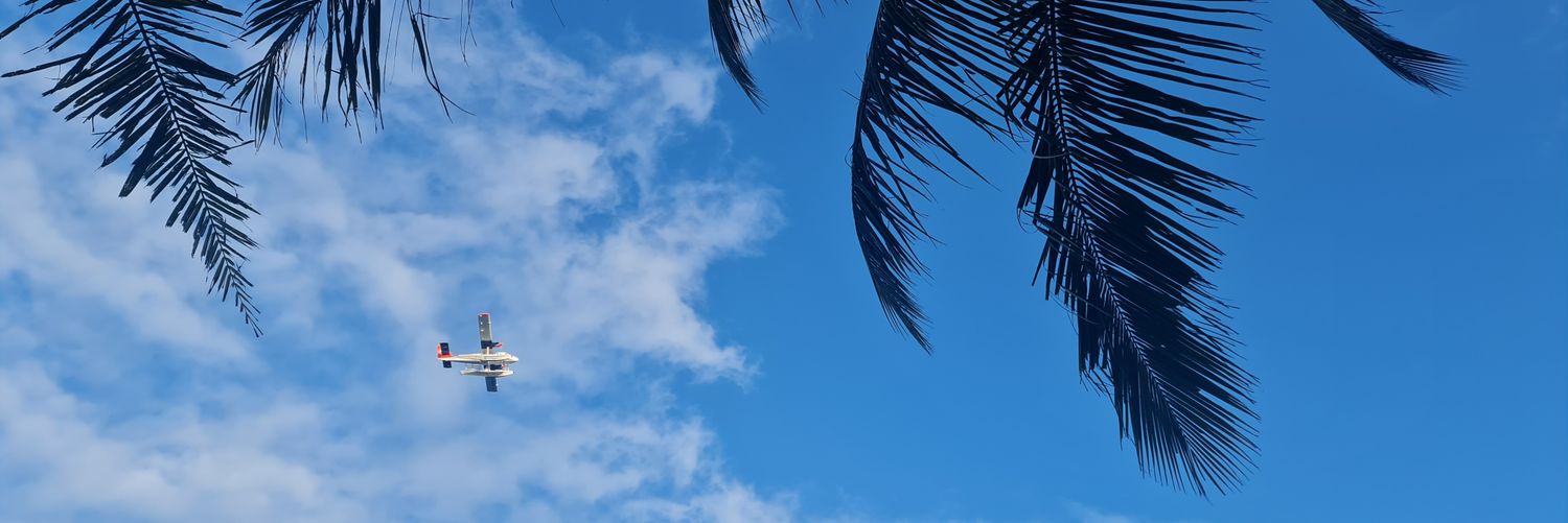 fathimathmuna1's profile banner image