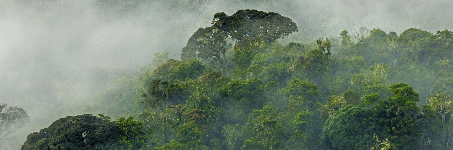 Ministry of Environment - Rwanda's banner