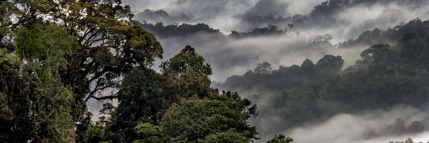 EnvironmentRw's profile banner image