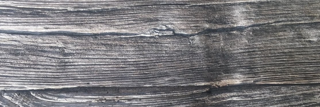 gbool's profile banner image
