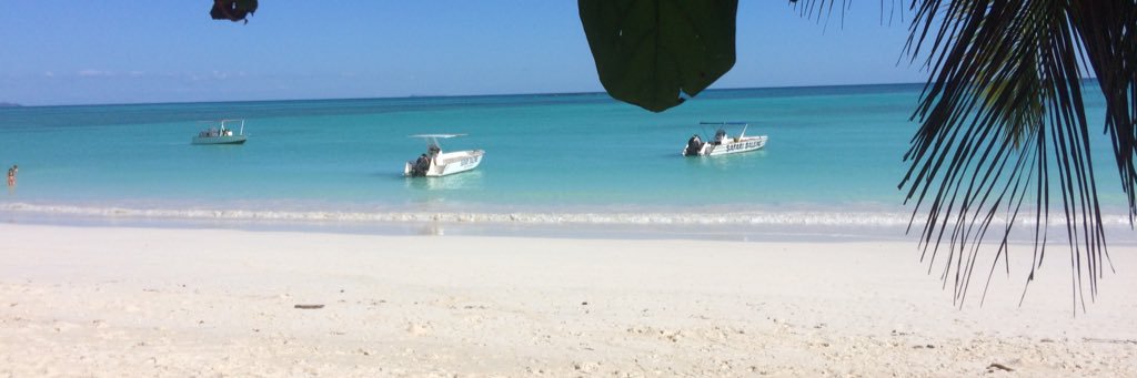 Alain Grimault banner