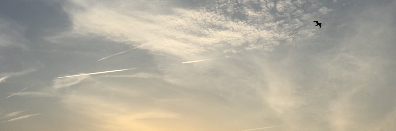 Eelco Ferwerda banner