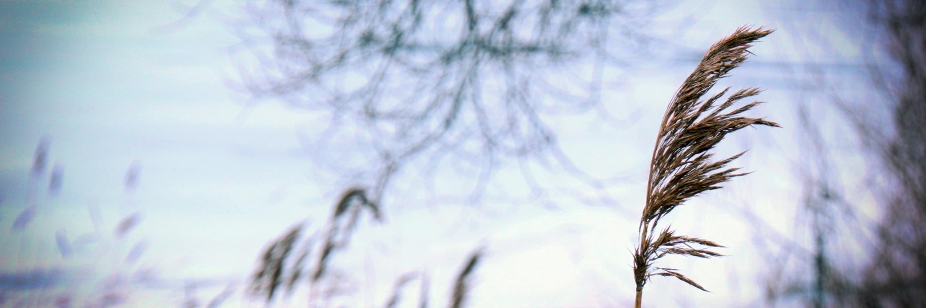 filtrs's profile banner image