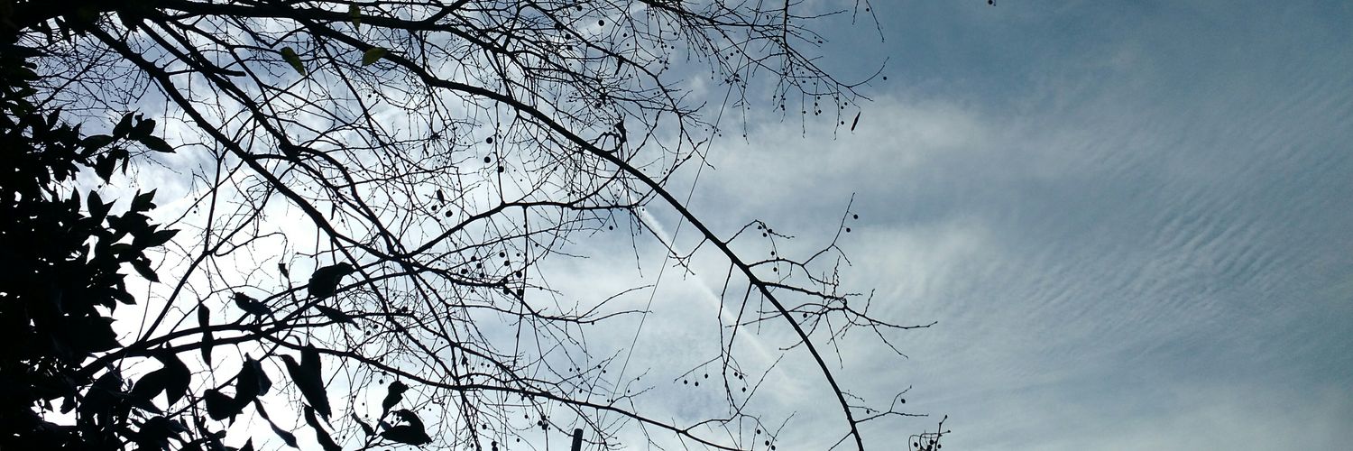 _mapping_'s profile banner image