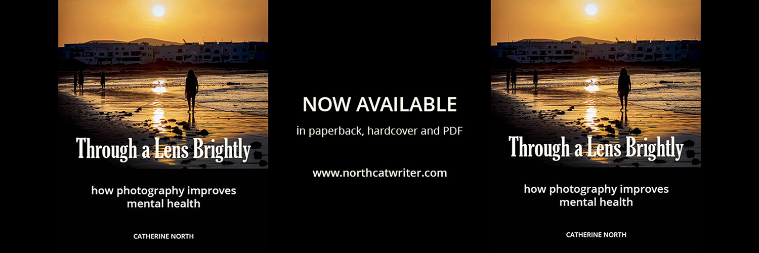 northcatwriter's profile banner image