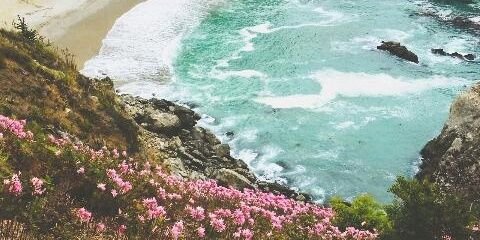 ilovechas_'s profile banner image