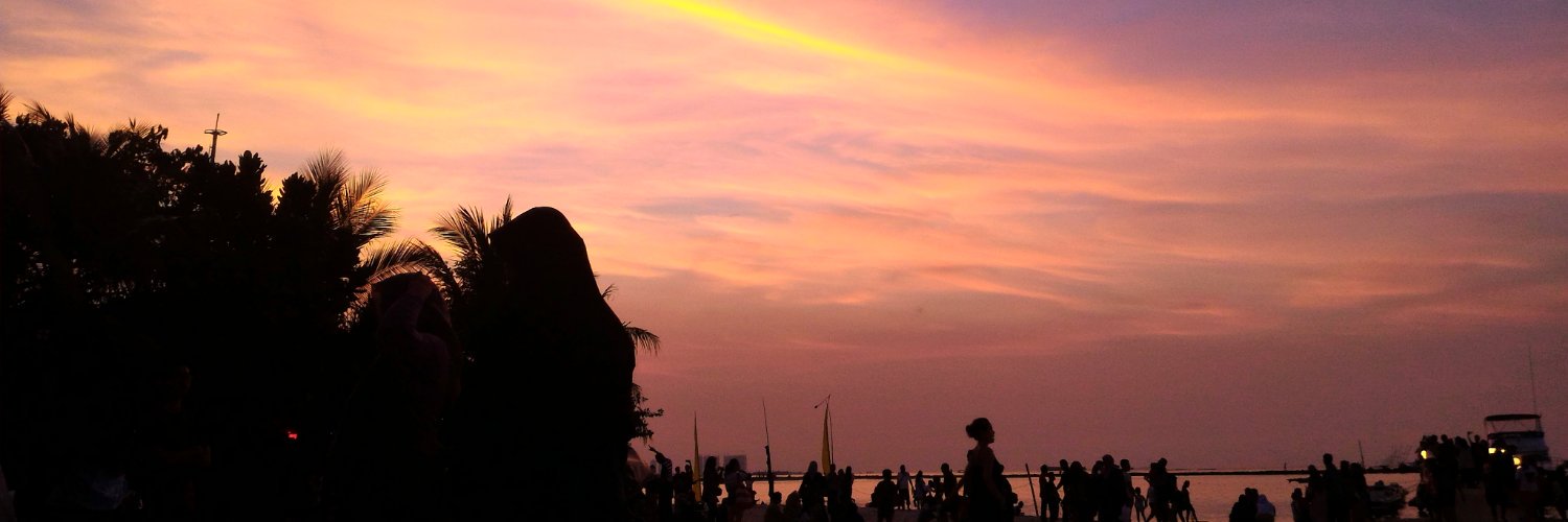 riscasoi's profile banner image