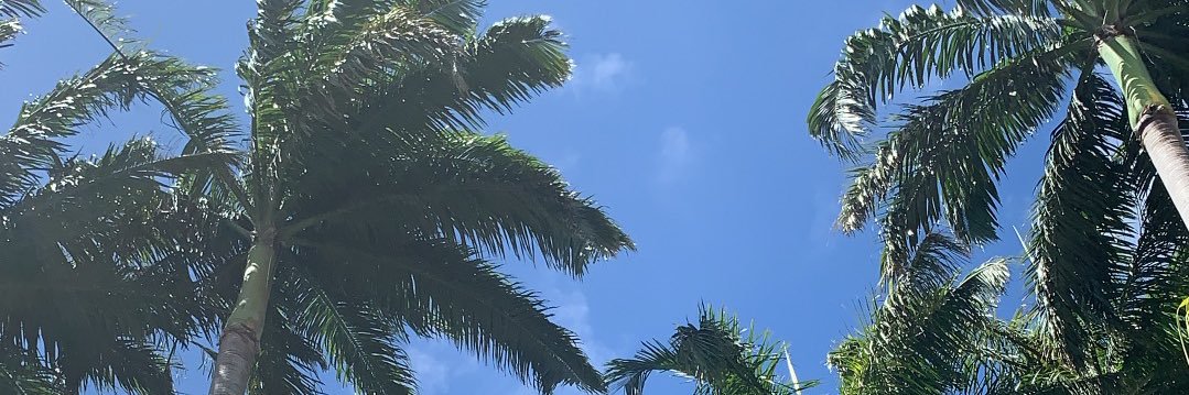 sazzpezz's profile banner image