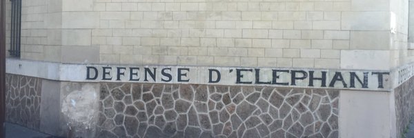 Ventilos Profile Banner