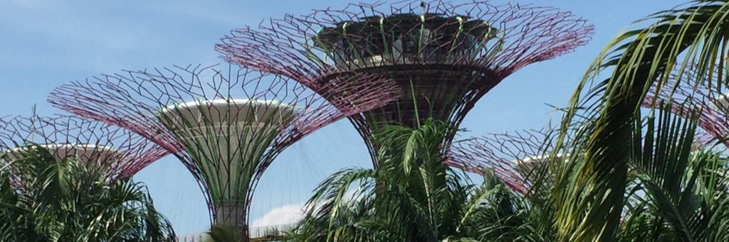 しょうこ banner