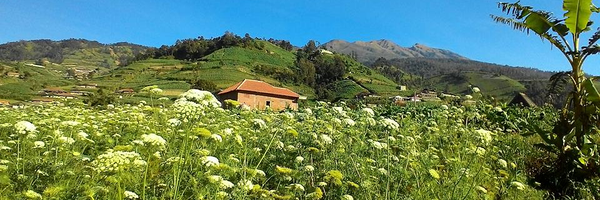 bimosaurus Profile Banner