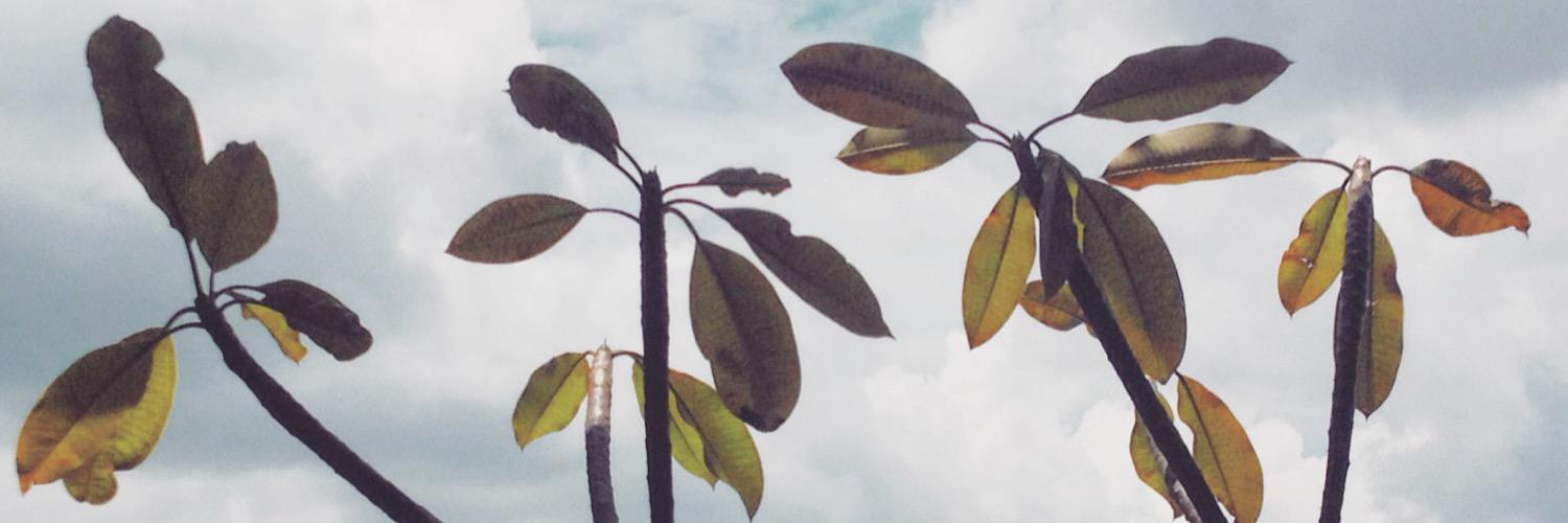 bagusadr's profile banner image