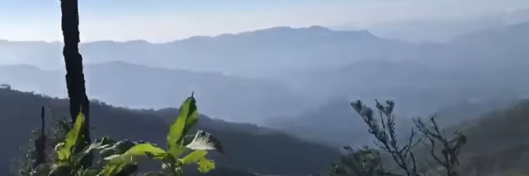 maleminao's profile banner image