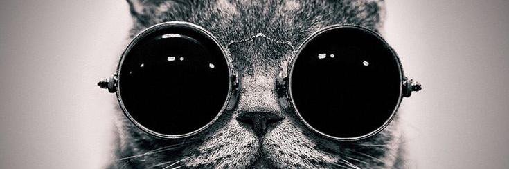 Qnelly's profile banner image