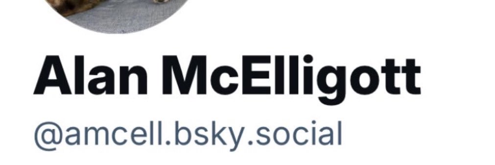 Alan McElligott banner