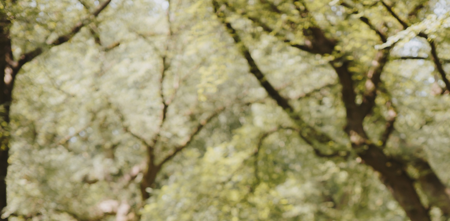 _bschlag's profile banner image