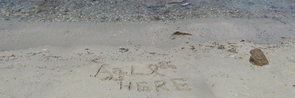 Andrea Allievi's banner