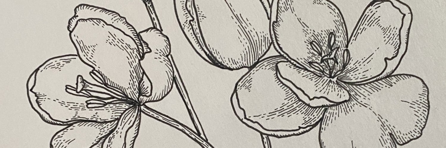 aggssee's profile banner image