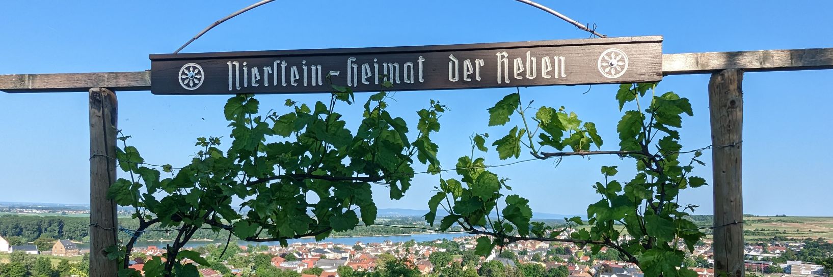 nierstein's profile banner image