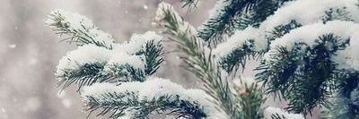 anyagata's profile banner image