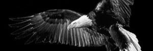 mstfcglar's profile banner image