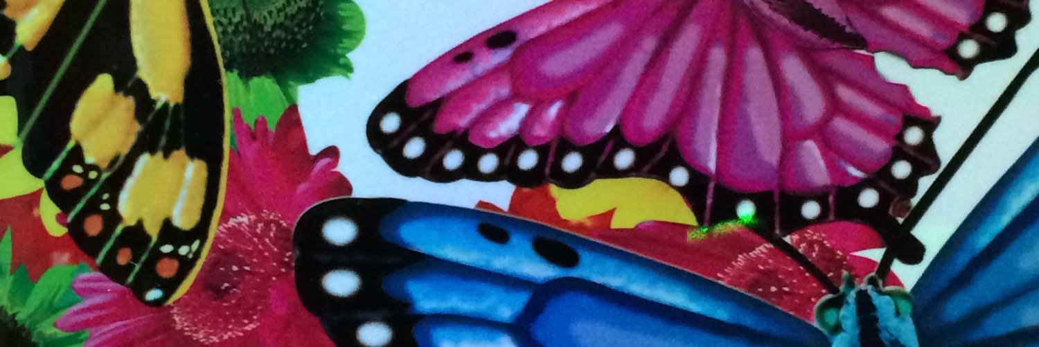Benedetta Radaelli banner